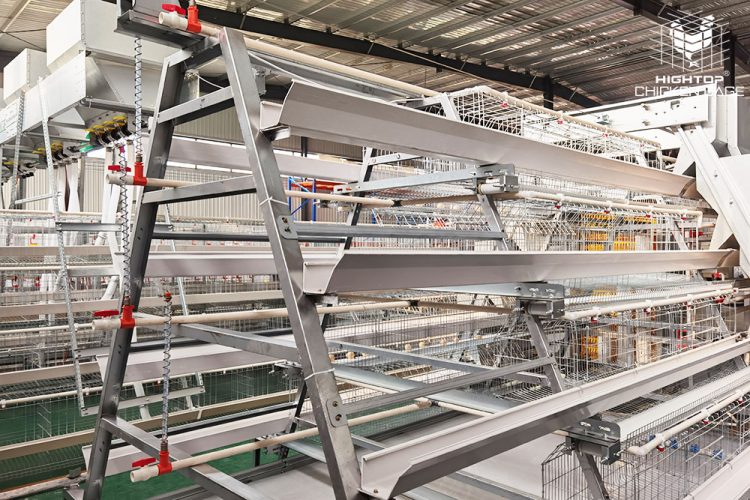 a type layer cage system