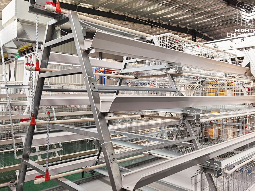 a type layer cage system