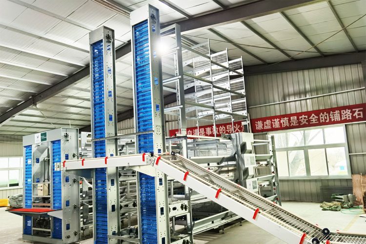 H type battery cage system
