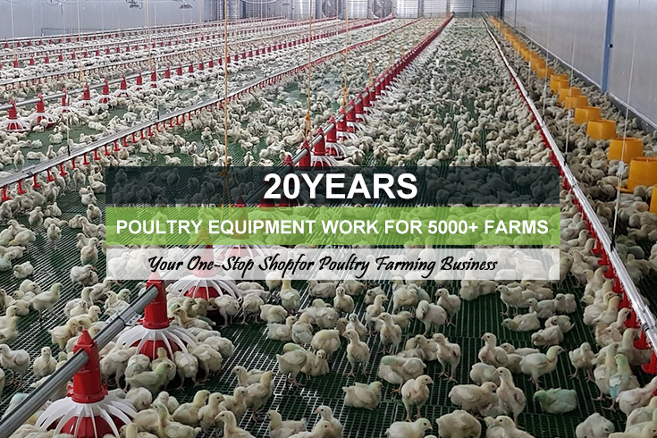 Broiler Floor Raising System banner