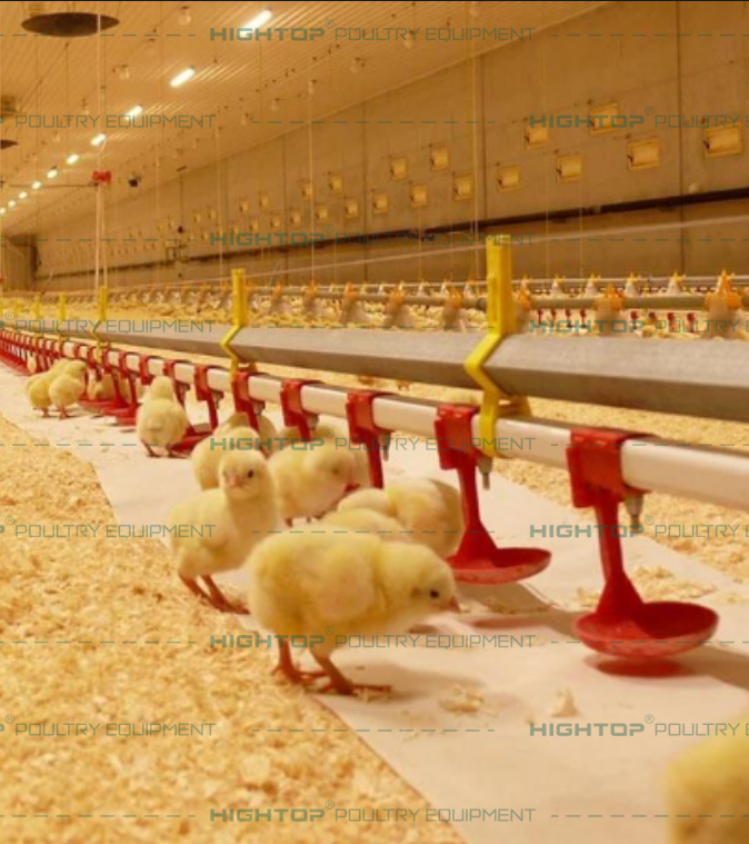 Composition and Advantages of Broiler Floor Raising Equipment