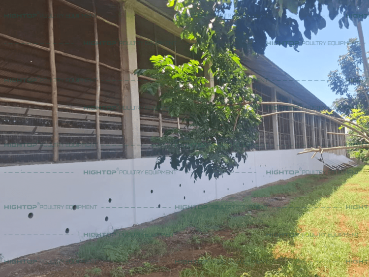 Exterior of the semi-open poultry house
