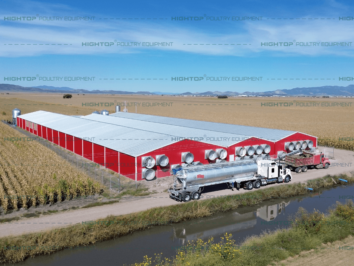 Farm Layout Showcase