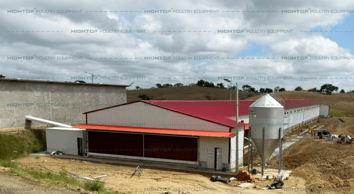 Hole chicken farm