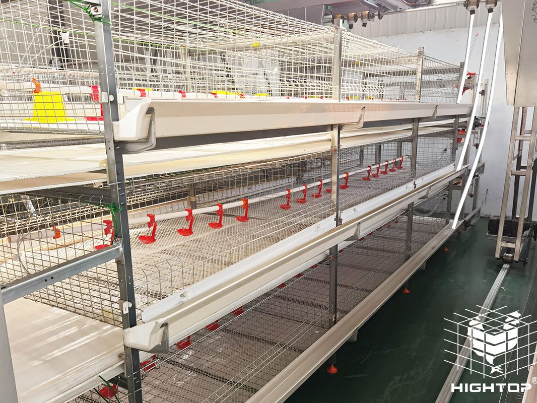 broiler battery cage system