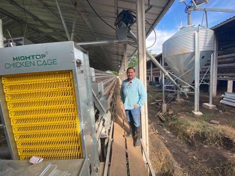 battery cage in Uruguay