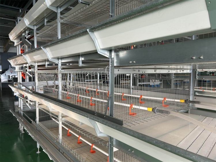 battery cage poultry farm