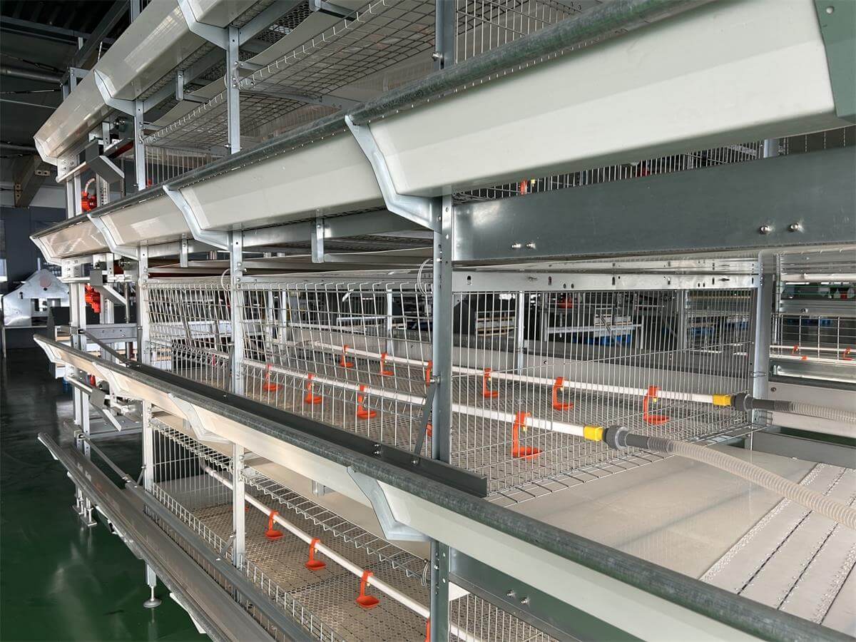 battery cage poultry farm